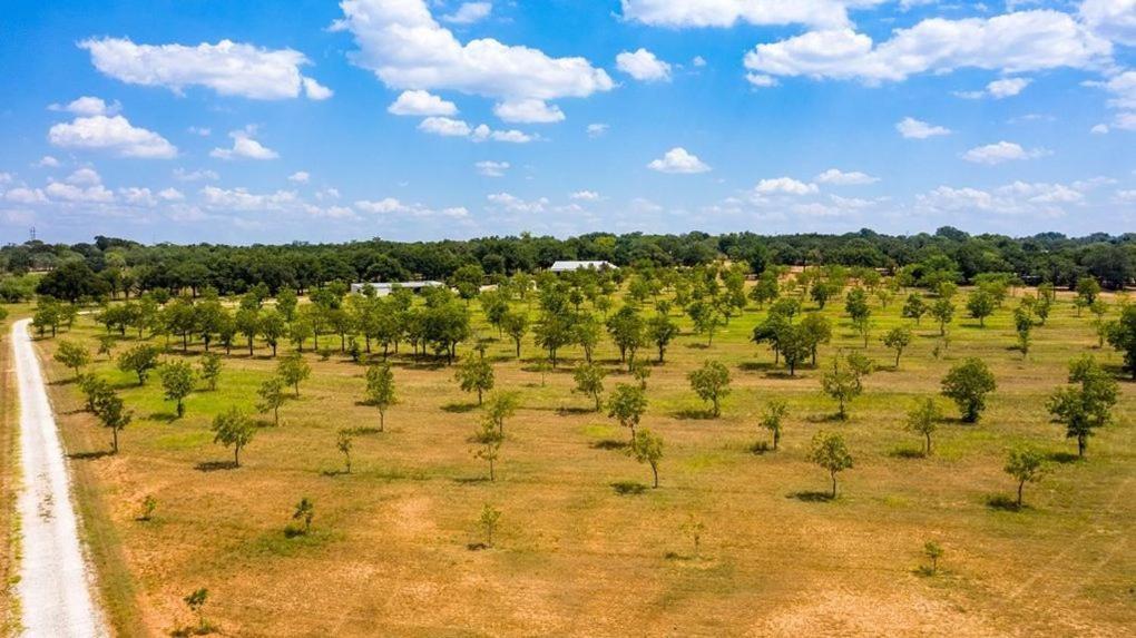 Pecan Farm Haus Fredericksburg Ngoại thất bức ảnh